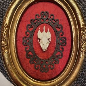 Mounted turtle skull
